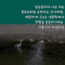 그대의힐링스토리 이미지