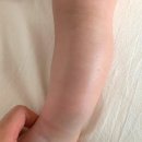 봉쥬르베베