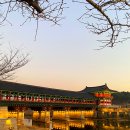 예쁘다 경주 이미지