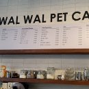 왈왈펫카페 이미지