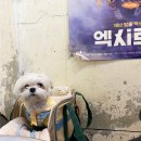 아빠떡볶이북