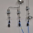 와이즈바이오 이미지