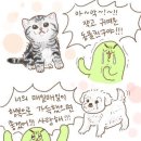 몽펍피 이미지