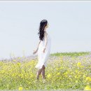 연세미소애치과의원 이미지