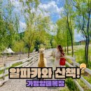 초원코다리 | 가평 아이랑 가기 좋은 양떼목장, 맛집까지 다녀온 드라이브코스
