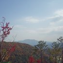 샤인밸리 이미지