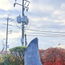 논산솔꽃정원펜션 | [논산 숙소] 대전근교 촌캉스 독채펜션 “논산솔꽃정원펜션”