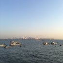 시화힐링낚시터 | 오이도 배낚시 체험기! "안산호" 타고 서해 우럭낚시부터 신선한 회 포장까지