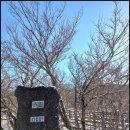 영실 1100고지 화장실 이미지