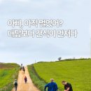 순례길, 왜 사람들은 스스로 고생을 선택할까 | 영화 산티아고의 철부지 아빠 부엔까미노 Buen Camino 후기
