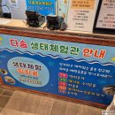 다솜사 | 경산 다솜생태체험관 아이와 함께 먹이주기 체험 후기