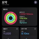 오늘,운동 이미지