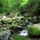 천연약수터 이미지