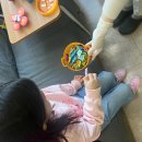 해동가축병원 | 전라북도 군산시 예방접종 전문 병원 추천 좋아요 4곳