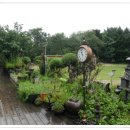 산음숲자연학교 이미지