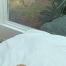 집 머무는 이미지