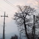 부래미 마을 이미지