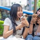 유앤미펫 강아지분양 고양이분양 위례점 이미지