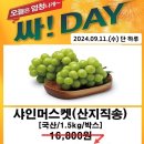 송정마트 티스토리