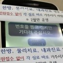 제주시보건소 | [임신준비] 다짜고짜 찾아간 제주 보건소 무료 산전검사 후기