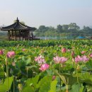 조선미디어부산경남지사 | 경남 함안 7월 가볼만한곳 고즈넉한 힐링여행지 무진정 포함 best7