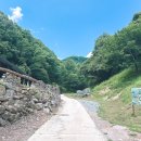 소나무 흑염소 목장 이미지