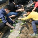 수안보초등학교 이미지