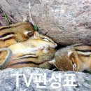 좋은아침공인중개사사무소 이미지