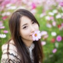 다모 이미지