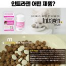 인트라젠 이미지