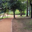 붕어섬축구장 이미지