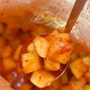 효성상회 | 맛과 품질 용량까지 다 잡은 효성상회 대용량 깍두기 후기