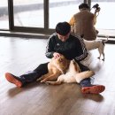 유미사 이미지