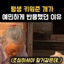 중국 겹개와 진돗개 겹개의 차이 이미지