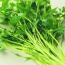 빛나농장 이미지