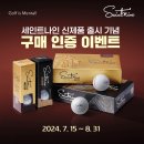 골드나인CC(대중제) | 포천힐스cc 라운딩 후기, 세인트나인 N BLACK 3피스 골프공!