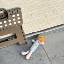 효민이네 하우스 이미지