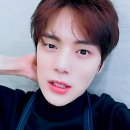 채널297 이미지