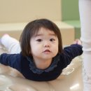 예블리 이미지