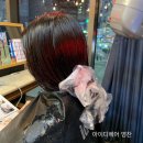 마스터아이디