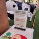 (주)스타필드 안성 | [하남 스타필드] 안성팜랜드 미니마을 팝업 후기