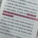한겨레2 체육관 | 열세 번째 계절의 소녀들