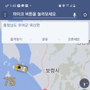 보령애견 이미지
