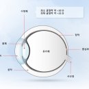 우리들안경원 이미지