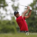(주)우즈투어 이미지