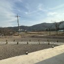 도평커피 이미지