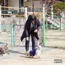 초아목장 | 강릉 대관령 애견동반 펜션 양떼목장과 가까운 해피몽펜션