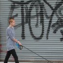 강아지와 산책 이미지