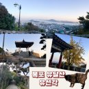 유달산 | 목포 유달산 노란 단풍잎이 예쁜 유선각 다녀온 후기.