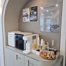 거제동물병원 | 고양이 중성화수술 후기 거제서울웰동물병원